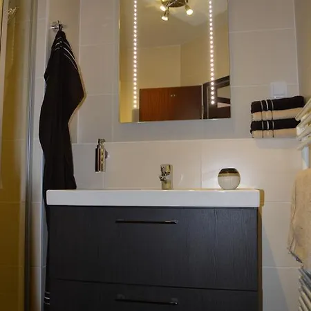 Hoffmann's In Der Residenz Bocksbergblick Appartement Goslar